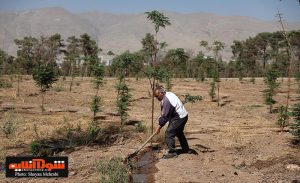 روند انجام عملیات احیای چیتگر