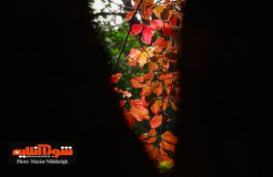 پایان پاییزی